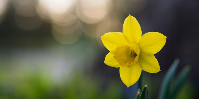 Mars 2021 - Point de situation