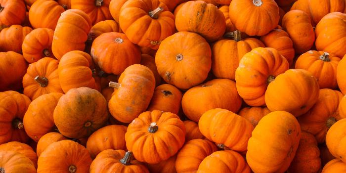 Octobre 2022 - Point de situation