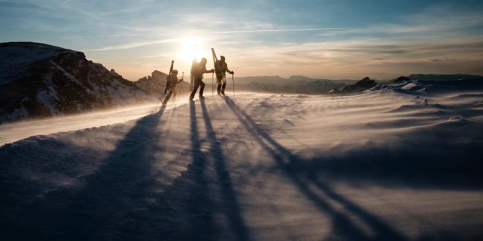 Février 2023 - Point de situation