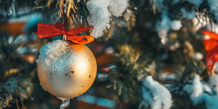 Décembre 2021 - Point de situation