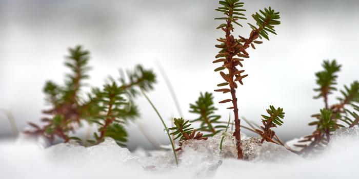 Février 2022 - Point de situation